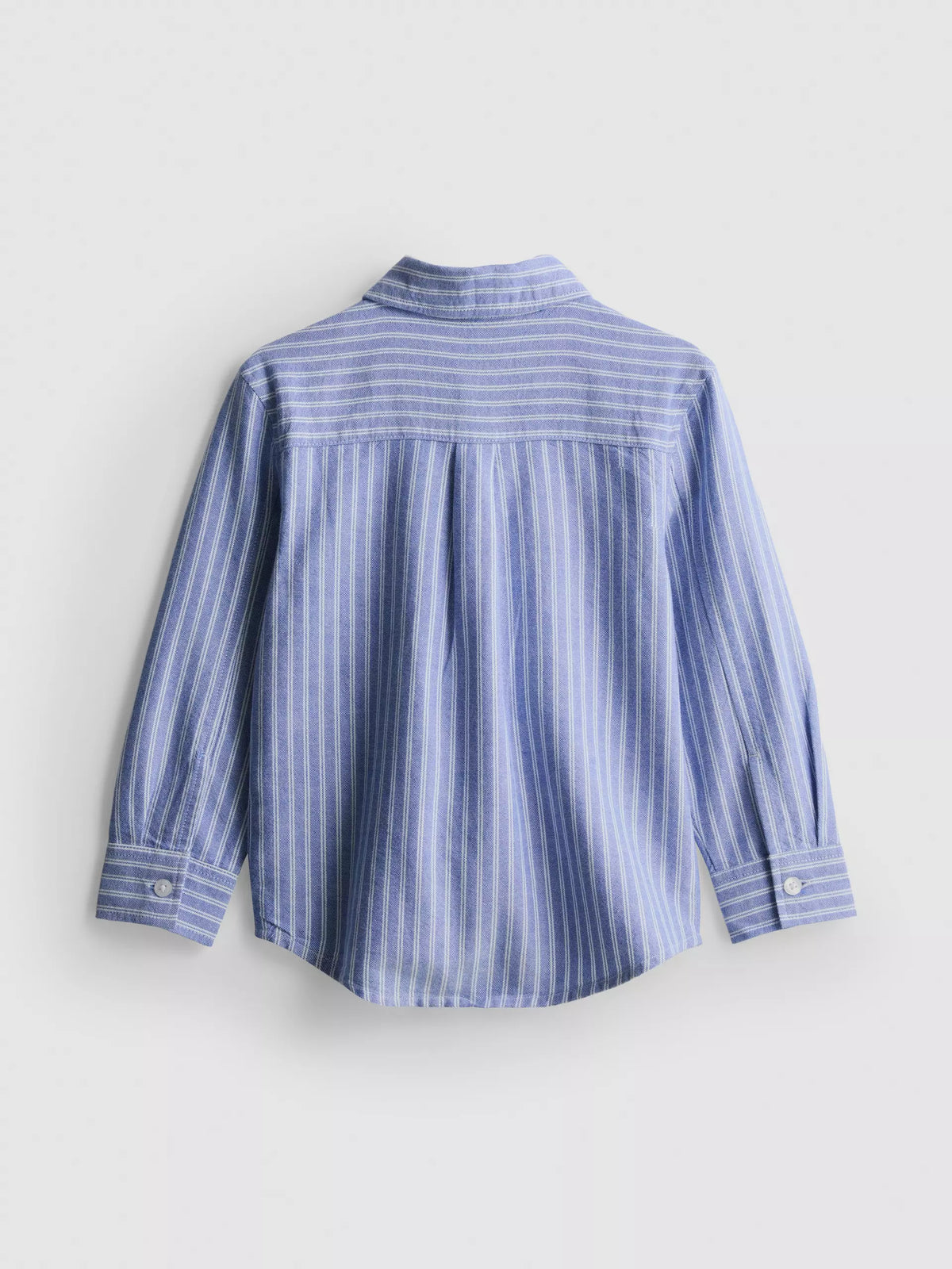 Chemise Oxford en pur coton The Edit PRIMARK