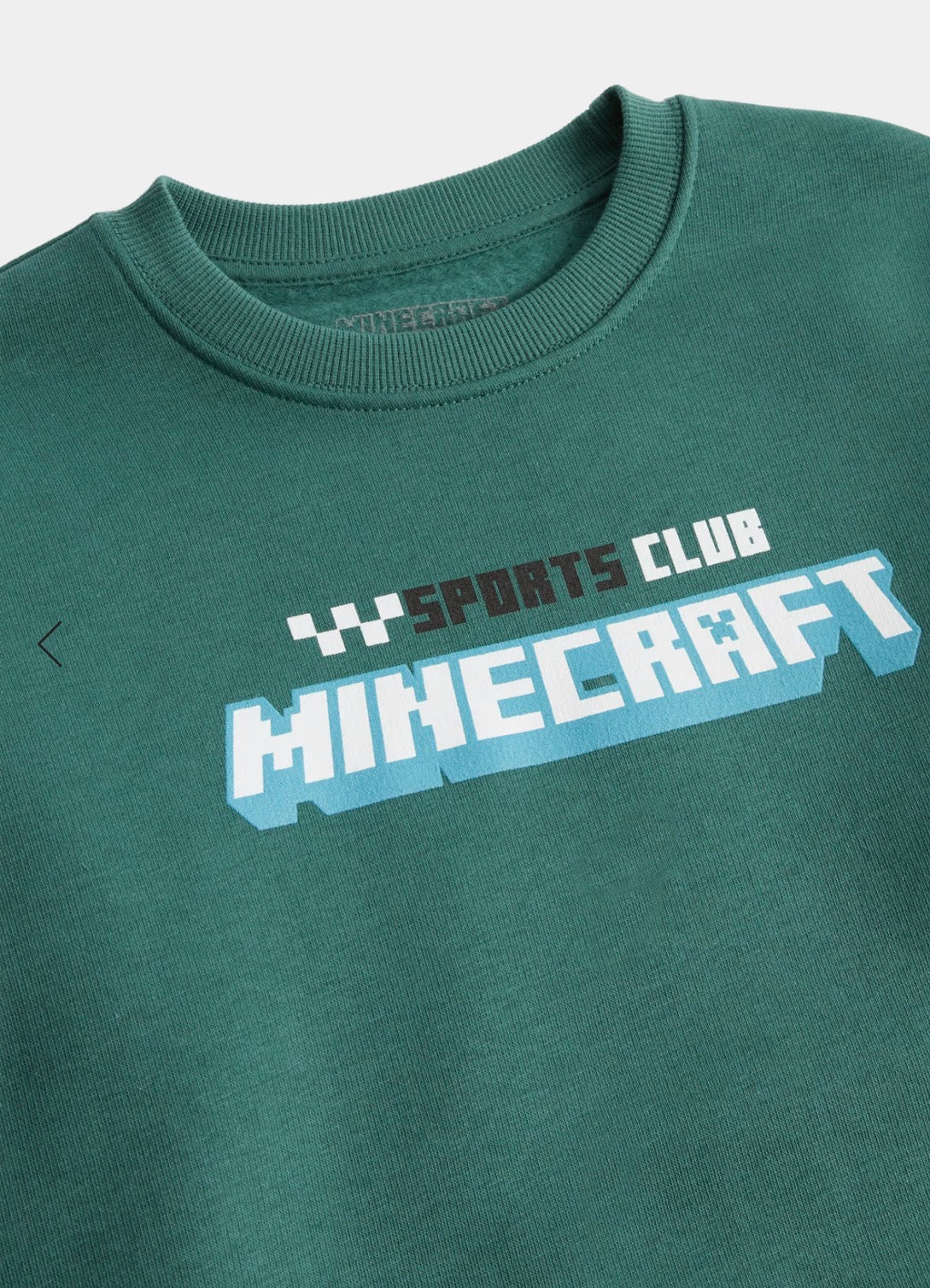 Sweat-shirt graphique Minecraft™ riche en coton